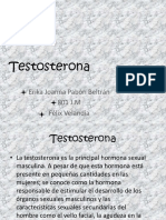 Testosterona 130816002057 Phpapp01 PDF