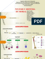 LEUCOPOYESIS