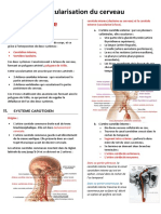 Copie de Vascularisation Du Cerveau PDF