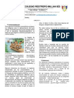 1º Guìa de Español. Ciclo IV PDF