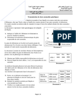 Exercice 1 (5 Points) Transmission de Deux Anomalies Génétiques