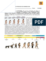 Guía Proceso de Hominización