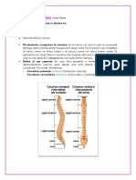 Huesos de La Columna PDF