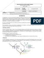 GUIA 10 C NATURALES 901, 902 IEES - TAXONOMIA CLADISTA Daniela Chacon Heredia