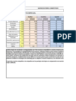 Matriz de Perfil Competitivo