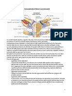 Traumatologia e Anatomia