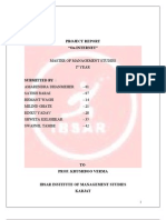 Project Report "On Internet": Master of Management Studies I Year