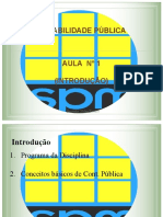 Conceitos Basicos em Contabilidade Publica