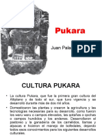 Pukara: Juan Palao Berastain