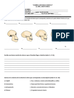 Examen Secundaria HM Primero