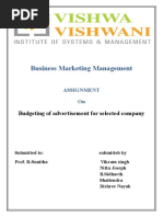 Business Marketing Management: Budgeting of Advertisement For Selected Company