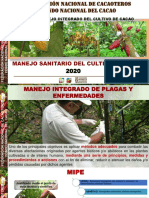 Manejo Sanitario Cacao PDF