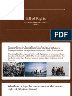 Bill of Rights Section 3