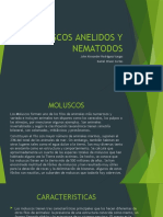 Moluscos Anelidos y Nematodos