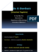 Giardia & Giardiasis: (Intestinal Flagellate)