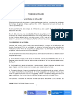 Anexo 5. Prueba Infiltración PDF