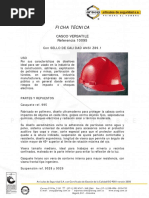 Ficha Tecnica Casco-Arseg-10095 PDF