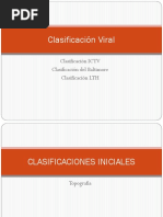 Clasificacion Viral 2017