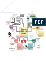 Opciones de Grado ECAPMA