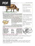 Anatomia de La Vaca PDF