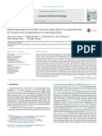 Enhancing Expression of The Classical Swine Fever Virus Glycoprotein E2 in Yeast and Its Application To A Blocking Elisa