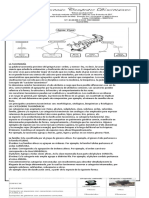 Guia de Taxonomia (Sexto)