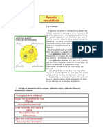 Aparato Circulatorio TALLER