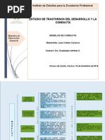 Cuadro Sinoptico Conducta Fin