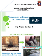 Tratamiento de Efluentes Líquidos de La Industria de Curtido PDF