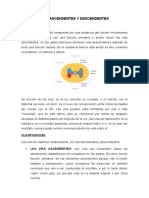 Vias Ascendentes y Descendentes 1