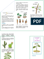 Triptico de La Raiz y El Tallo