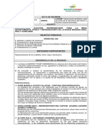 ACTA DE REUNIÓN Eleccion Representantes INDIGENA