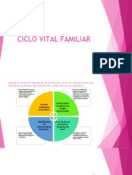 1.5 PAPEL DE ENFERMERIA EN EL CICLO VITAL FAMILIAR (1) .Odp