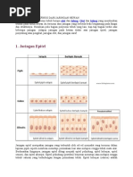 Biologi Jaringan Hewan