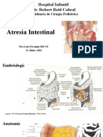 Atresia Intestinal