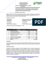 Informe Virginia PDF