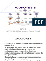 Leucopoyesis - Clase 3