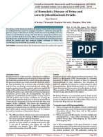 Overview of Hemolytic Disease of Fetus and Newborn Erythroblastosis Fetalis