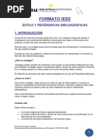 FORMATO IEEE1