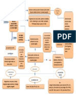 Mapa Conceptual RED