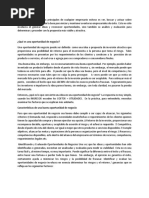 Oportunidades de Negocio PDF