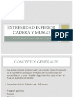 EXTREMIDAD INFERIOR CADERA y Muslo