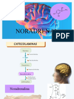 3 - 5. Noradrenalina, Encefalina y Endorfina Mecanismo de Accion