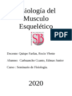 Musculo Esq