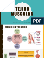 Tejido Muscular