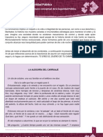 Desarrollo Del Marco Conceptual de La Seguridad Pública