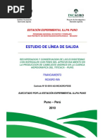 Estudio Linea de Salida Del Bofedal PDF