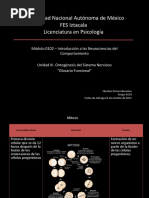 Ontogénesis Del Sistema Nervioso