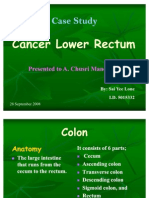 Case Study CA Lower Rectum