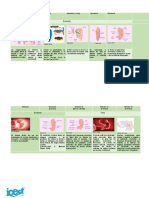 Desarrollo Preembrionario